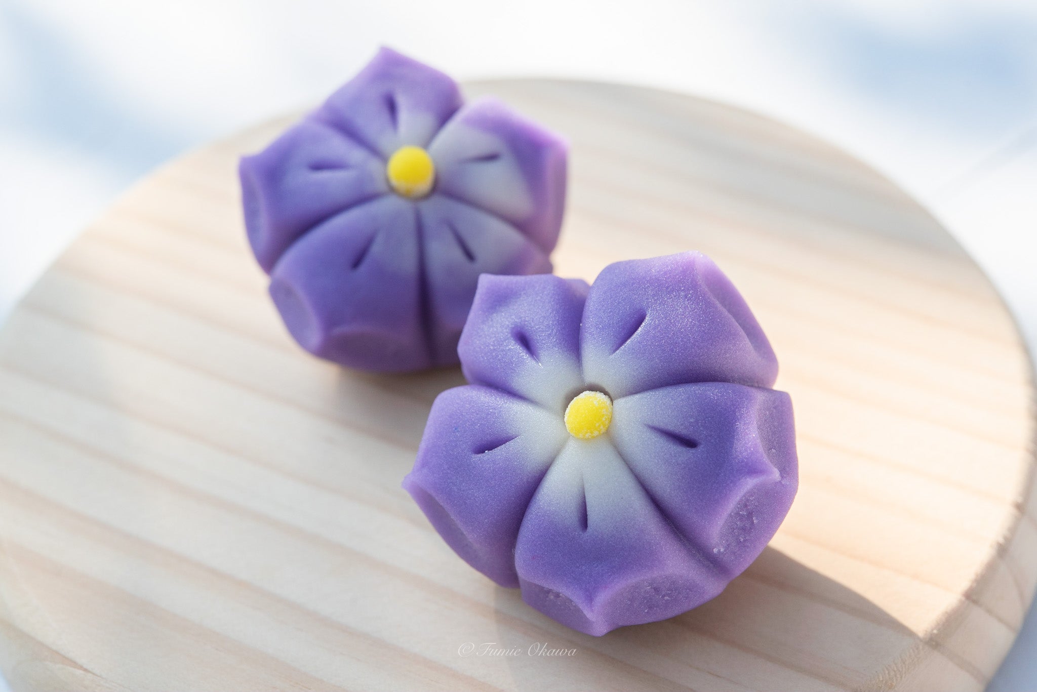 季節の上生菓子セット（6個入） – 丸三老舗