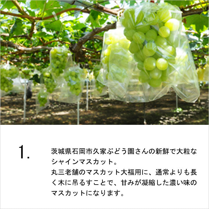 極 マスカット大福 プレミアム (3個入) – 丸三老舗