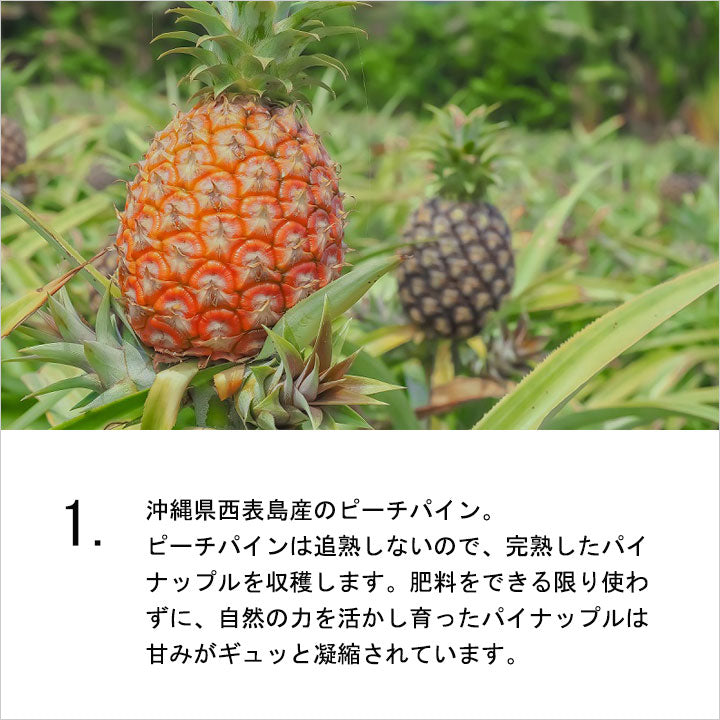 極 パイナップル大福 (3個入) – 丸三老舗