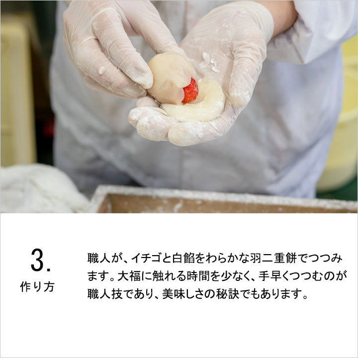 予約】極 いちご大福 (6個入) – 丸三老舗